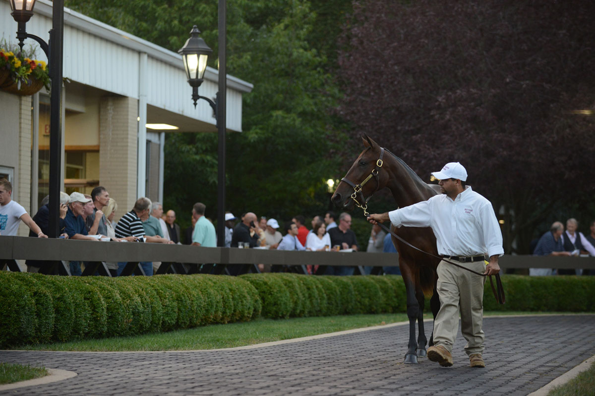 Outside walking ring at Fasig-Tipton